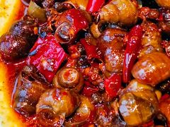 -德顺斋爆肚涮肉馆·烧烤·羊蝎子·清真炒菜(马驹桥店)