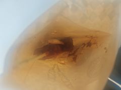 -星巴克臻选(万象前海店)