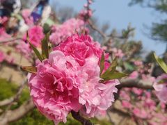 -元大都城垣遗址公园