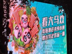 -广州长隆国际大马戏