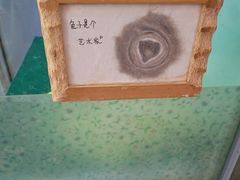 -宠物兔专门店(天丰利市场店)