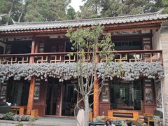 -寂照庵