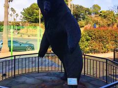 -信不信由你博物馆