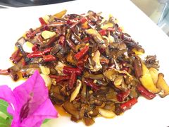 -山大王菌莊