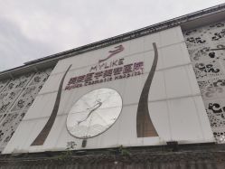 -美莱医学美容医院