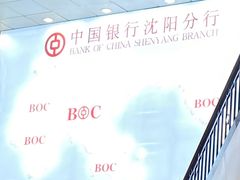 -中国银行(辽宁省分行营业部)