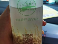 -德禄酸奶(莫家街店)