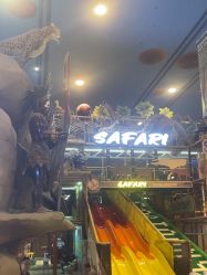 -卡通尼·Safari非洲探索乐园·生日会(金桥国际商业广场店)