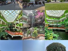 -广州白天鹅宾馆