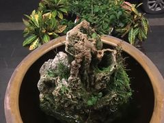 -苏州独墅湖书香世家酒店