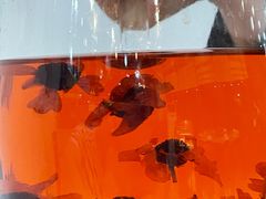 -黑公羊新疆菜(人和店)