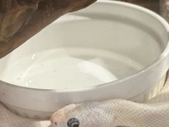 -龙湖西安曲江天街