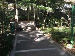 -华山儿童公园