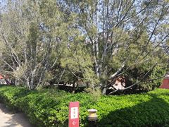 -大钟寺古钟博物馆