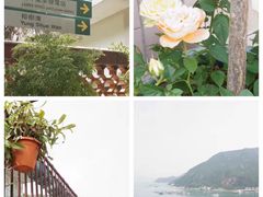 -南丫岛