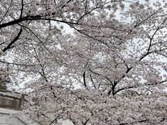 -苏州上方山国家森林公园