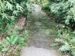 -张坝桂圆林公园