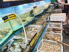水产区-望海潮海鲜店 特色家常菜(在海一方店)