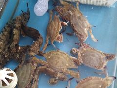 -超越海鲜屋(飞龙物业店)