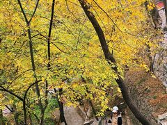 -北京上方山国家森林公园