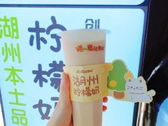 -猫的魔法密林(衣裳街店)