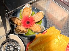 -金龙·打边炉(南京西路店)