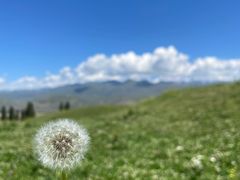 -新疆那拉提国家旅游度假区