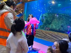-太奥幻太奇海洋馆