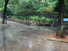 -白沙古井
