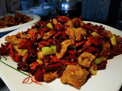 辣子肥肠-红京鱼(西坝河店)