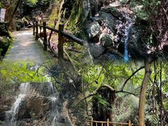 -南丹山森林王国