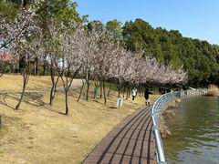 -美兰湖景区