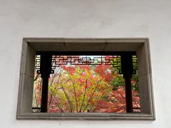 -秋霞圃