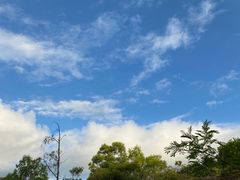 -广东惠东海龟国家级自然保护区