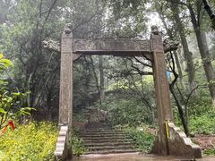 -莫干山风景区