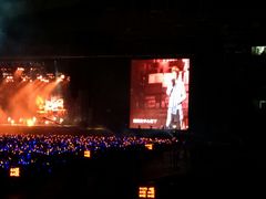 -南京奥林匹克体育中心-体育馆