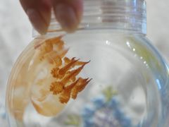 -宁波海曙印象城