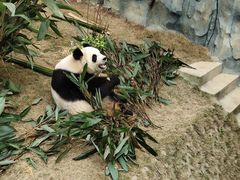 -泉州海丝野生动物世界