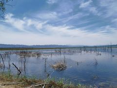 -野鸭湖国家湿地公园
