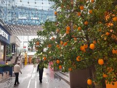 -丽达购物中心(崂山店)