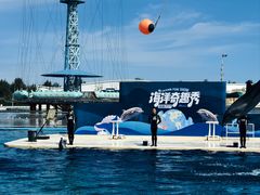 -秦皇岛乐岛海洋王国