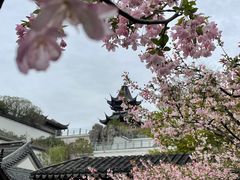 -江宁织造博物馆