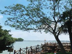 -同里湖度假村(二期店)