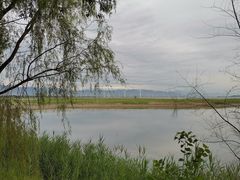 -野鸭湖国家湿地公园