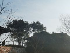 -天目湖涵田度假村