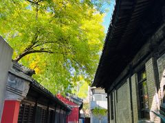 -嵩祝寺及智珠寺