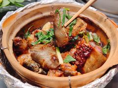 -金龙·打边炉(南京西路店)