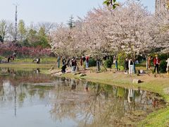 -堤角公园