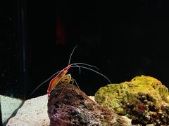 -暹罗海洋世界