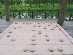 -合肥滨湖国家森林公园